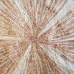 Fumi Imamura, One Flower (Red Flower), 2024