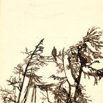 Peter Doig, Country Rock (from '100 Years Ago'), 2001