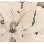 Sarah Graham, Magnolia soulangeana V, 2022