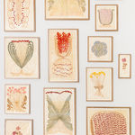 Fumi Imamura, One flower (pink flower) (花ひとつ（ももいろ の花）, 2025