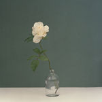 Kate Friend, Dan Pearson, Dianthus cruentus, Somerset, 2020