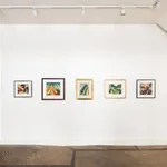 Claude Flight, Speed, circa 1922