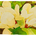 Sarah Graham, Magnolia soulangeana V, 2022