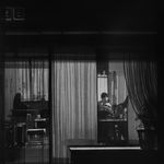 Radenko Milak, Noisy Neighbours, 2023