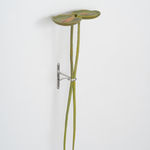 Shana Hoehn, Homecoming, 2022