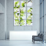 Karamū (Coprosma robusta) , 2020