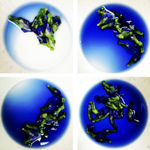 00052 Blue Pea Flower (Clitoria ternatea)