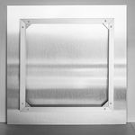 Papaver rhoeas (Red Poppy), 2020