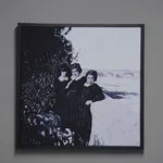 Mustafa Boğa, Orange tree 25, 2025