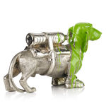 William Sweetlove, CLONED LARGE FRENCH BULLDOG, 2022