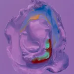 Fawn Rogers, Our Lady Guadalupe, 2020