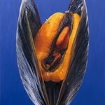 Fawn Rogers, Comet Tail #3, 2022