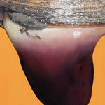 Fawn Rogers, Our Lady Guadalupe, 2020