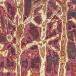 Dennis Miranda Zamorano, El: Imposible… nadie intentó incendiar una ciudad, o si? (Portrait of what was once my home), 2024