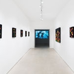 Laurent Pernot, Les rêves noirs – Fire poppies, 2025