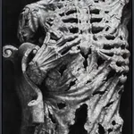 ZHANG Yunyao, Emotion Study II (Quadriptych), 2021 - 2022