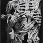 ZHANG Yunyao, Emotion Study II (Quadriptych), 2021 - 2022