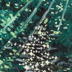 Claudia Keep, June 3rd, 8:32 AM, Walking Along the Creek, 2024