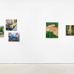 Fawn Rogers, Our Lady Guadalupe, 2020