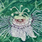 Claudia Keep, Thistles on 2nd Avenue, 2024