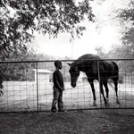 Isabelle Armand, Photography Grid 2, 2013 - 2018