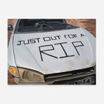 Fawn Rogers, Our Lady Guadalupe, 2020