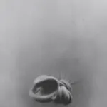 ZHANG Yunyao, Spirit, water drop and the light (4), 2021