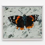 Claudia Keep, White Clover, 2022