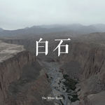 Liu Xin, teratoma, 2019