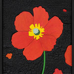 Laurent Pernot, Fire Poppy, 2024