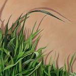 Fawn Rogers, Our Lady Guadalupe, 2020