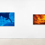 Fawn Rogers, Our Lady Guadalupe, 2020