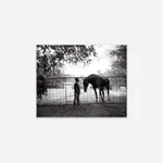 Isabelle Armand, Photography Grid 2, 2013 - 2018