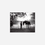 Isabelle Armand, Photography Grid 2, 2013 - 2018