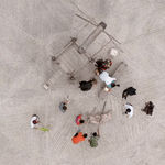 Liu Xin, teratoma, 2019