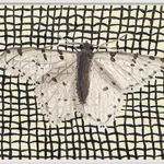 Steingrímur Gauti, Untitled, 2022