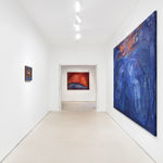 Kinga Bartis, A blind landscape, 2024