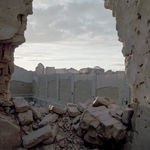 Liu Xin, teratoma, 2019