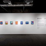 Fawn Rogers, Comet Tail #9, 2022