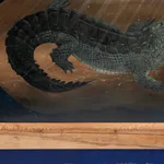 Alexandre Yang, The view from my window, 2025