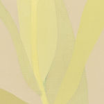 Manuel Stehli, Untitled (Tulip 3), 2023