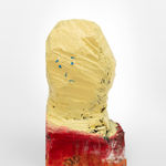 Shinya Azuma, Human(Purple), 2024