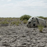 Liu Xin, teratoma, 2019