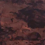 Dianna Settles, The earth drank the juice, 2024