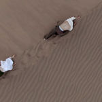 Liu Xin, teratoma, 2019