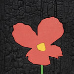 Laurent Pernot, Les rêves noirs – Fire poppies, 2025