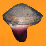 Fawn Rogers, Our Lady Guadalupe, 2020