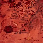 Dianna Settles, The earth drank the juice, 2024