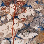 Dianna Settles, We must exist more and heavier // we are learning discipline everyday, Bench pressing, jiu-jitsu training, training for...