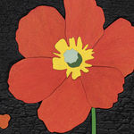 Patrick Kim-Gustafson, Chutes 001, 2024